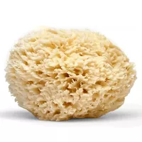 Naturalna gąbka morska Wool G6 bielona